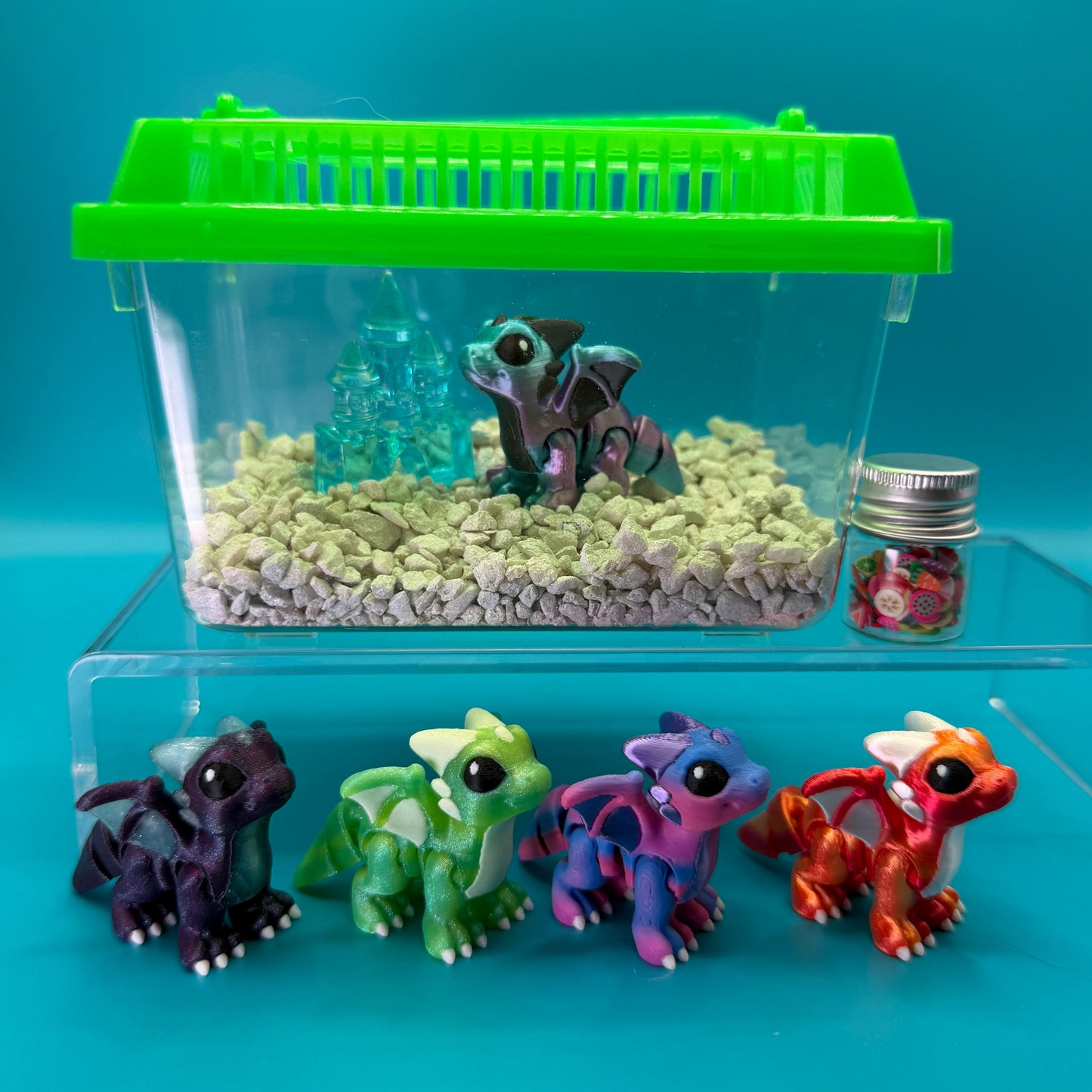 Animal Terrarium or Aquarium Kit