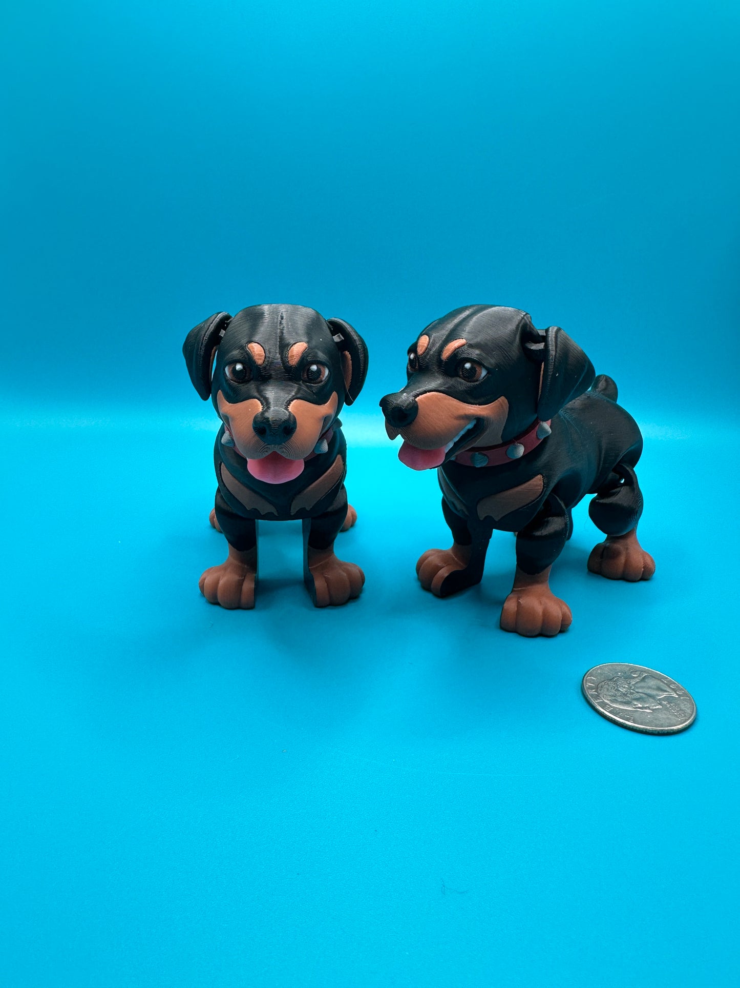 Rottweiler 3D Print | Fidget Dog