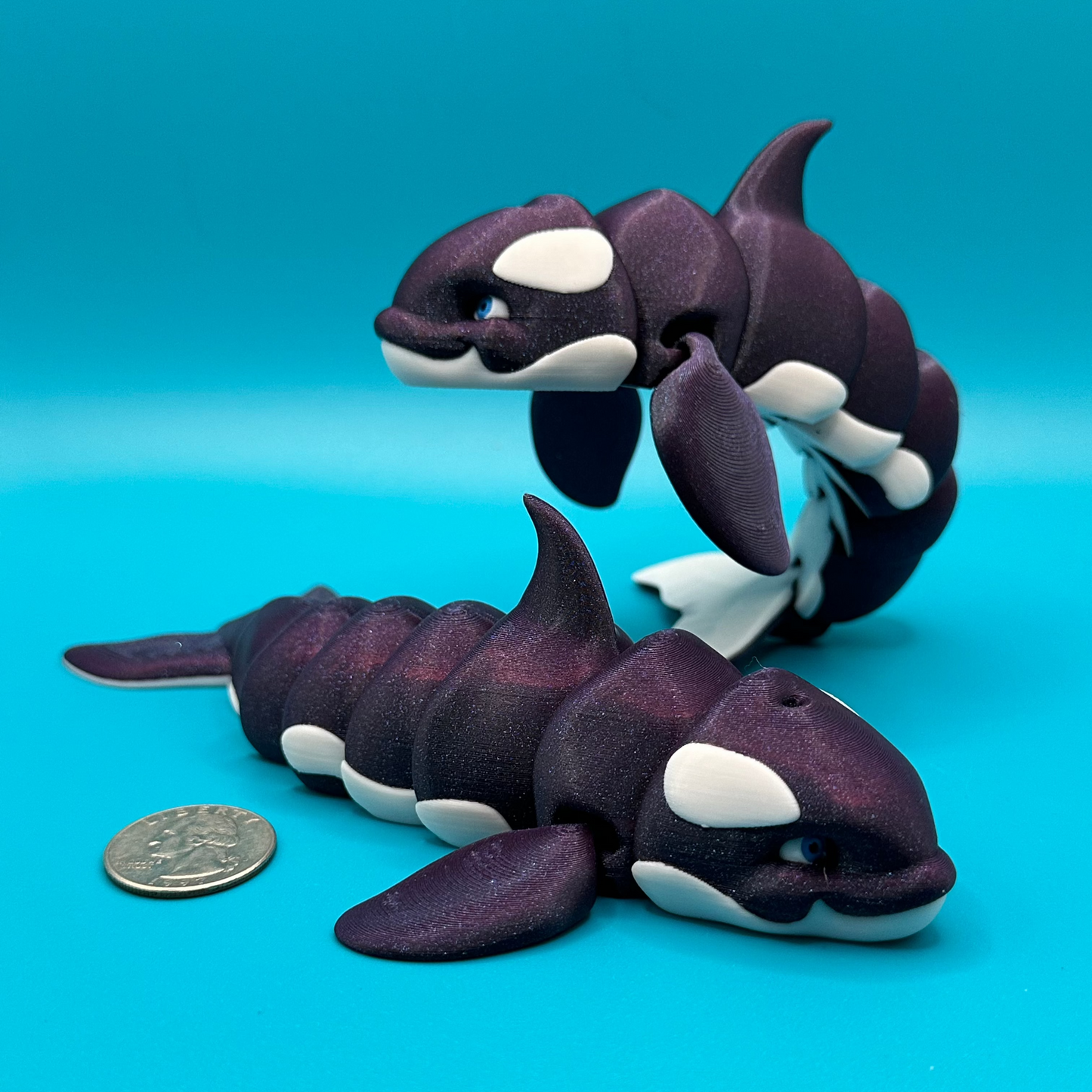 3D Printed Flexi Orca Whale | Killer Whale