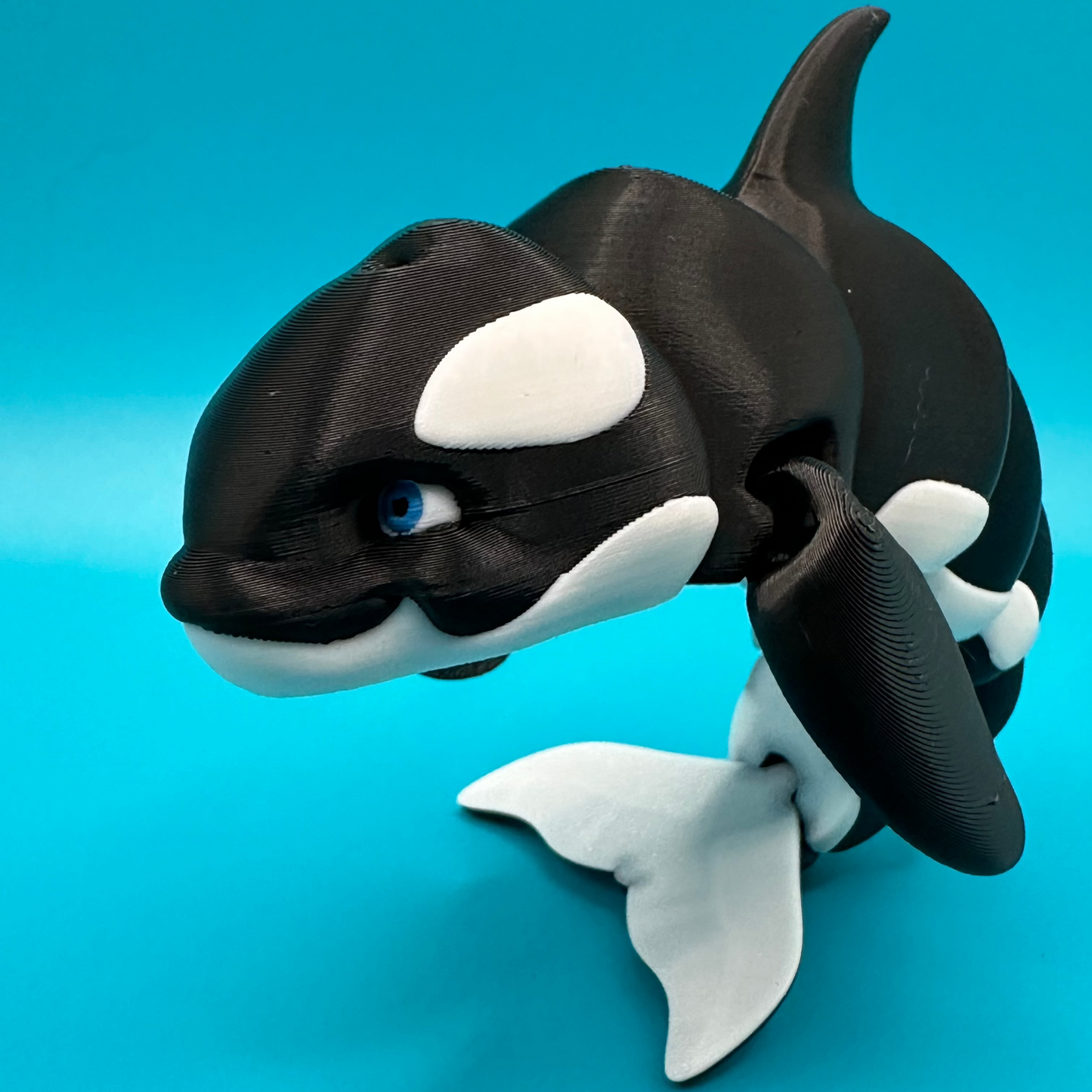 3D Printed Flexi Orca Whale | Killer Whale