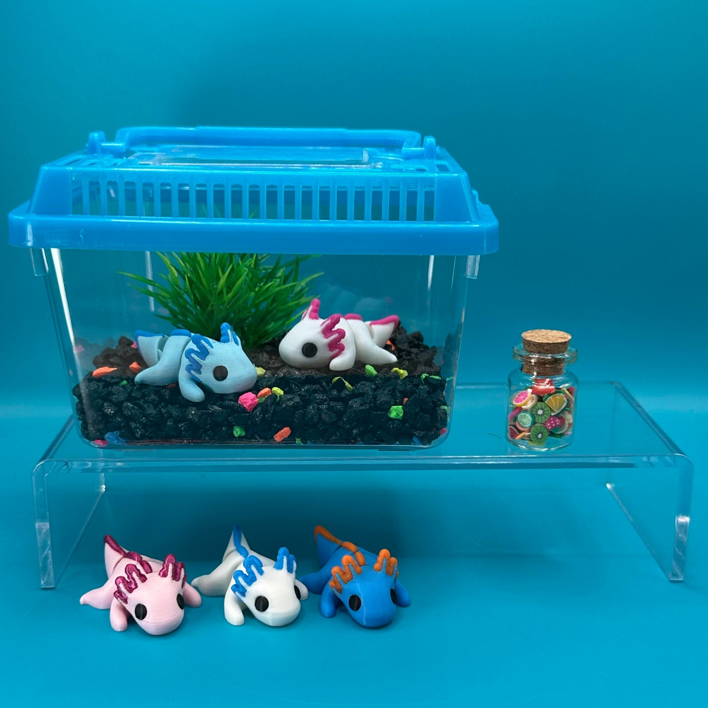 3D Printed Animal Terrarium or Aquarium Kit