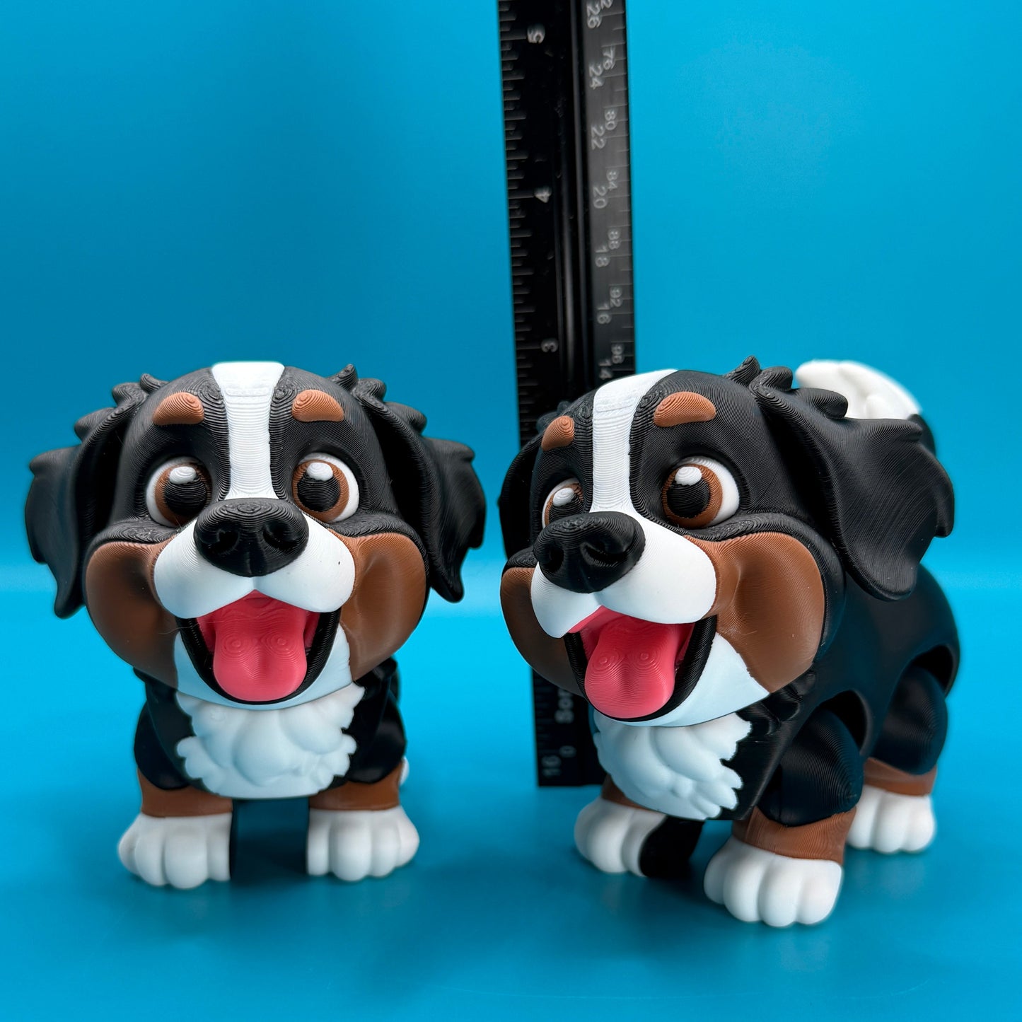 Bernese Mountain Dog