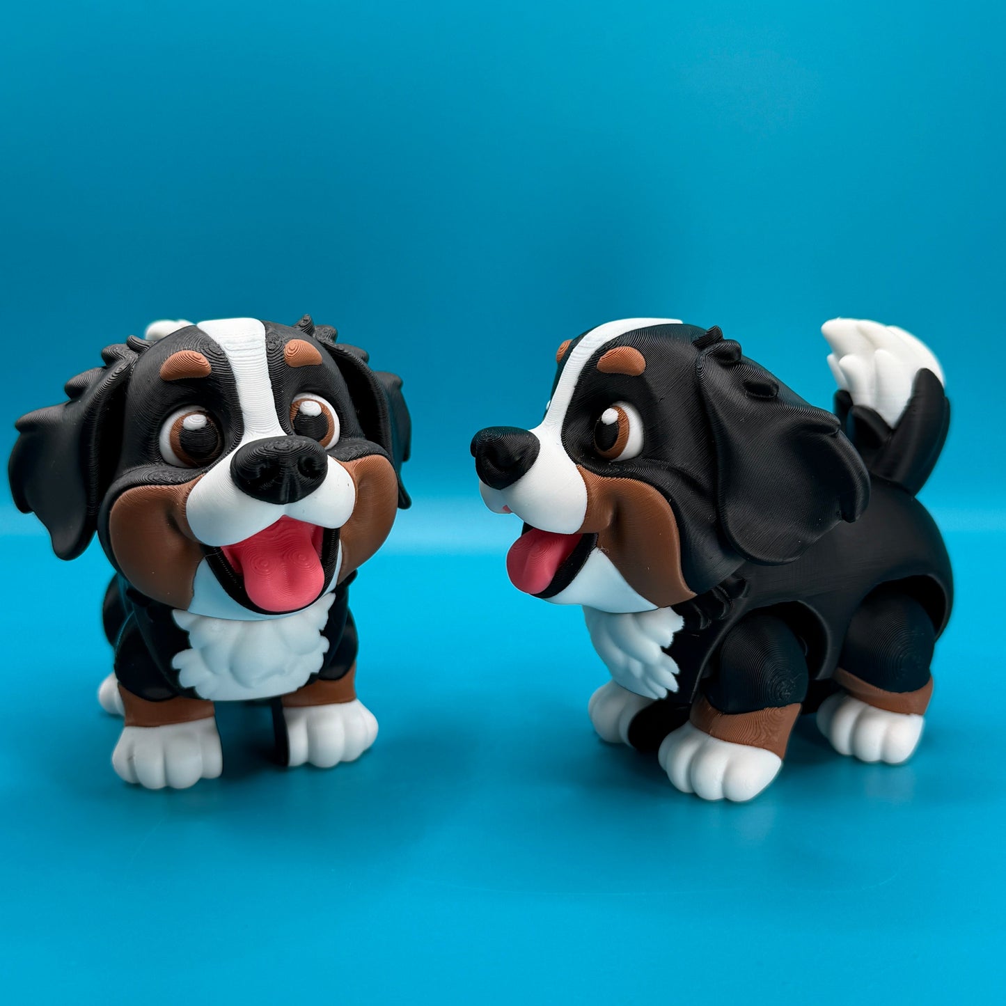 Bernese Mountain Dog