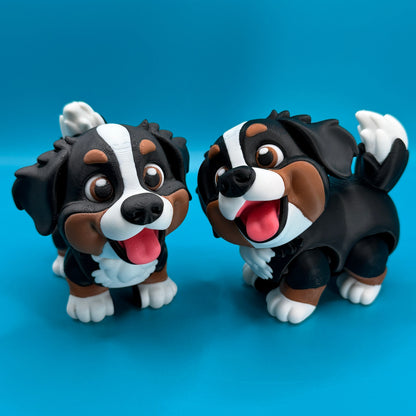 Bernese Mountain Dog