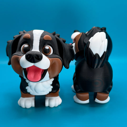 Bernese Mountain Dog