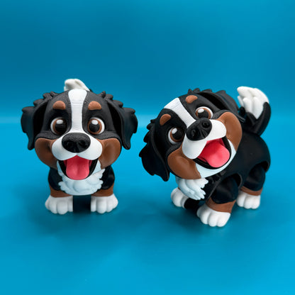 Bernese Mountain Dog