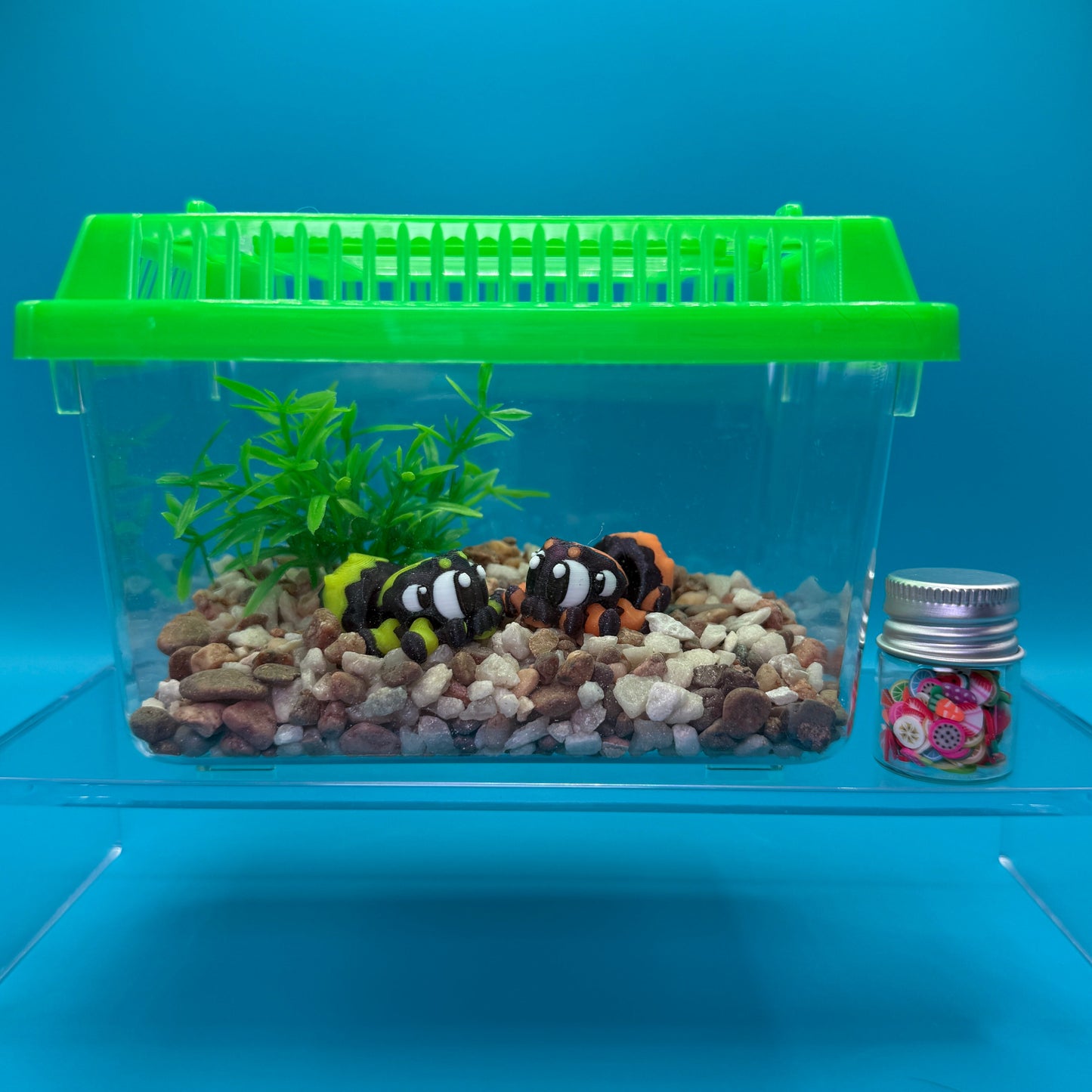 Animal Terrarium or Aquarium Kit