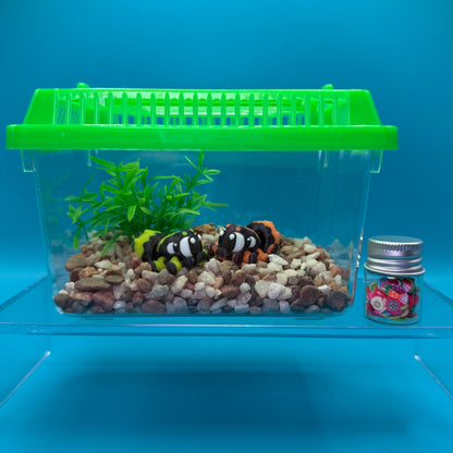 Animal Terrarium or Aquarium Kit