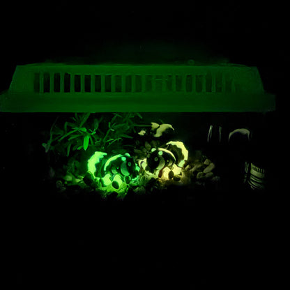 Animal Terrarium or Aquarium Kit