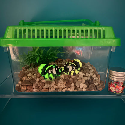 Animal Terrarium or Aquarium Kit