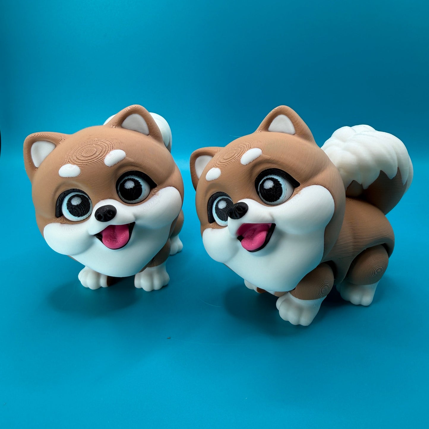 Cute Pomeranian Fidget Dog