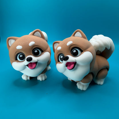 Cute Pomeranian Fidget Dog