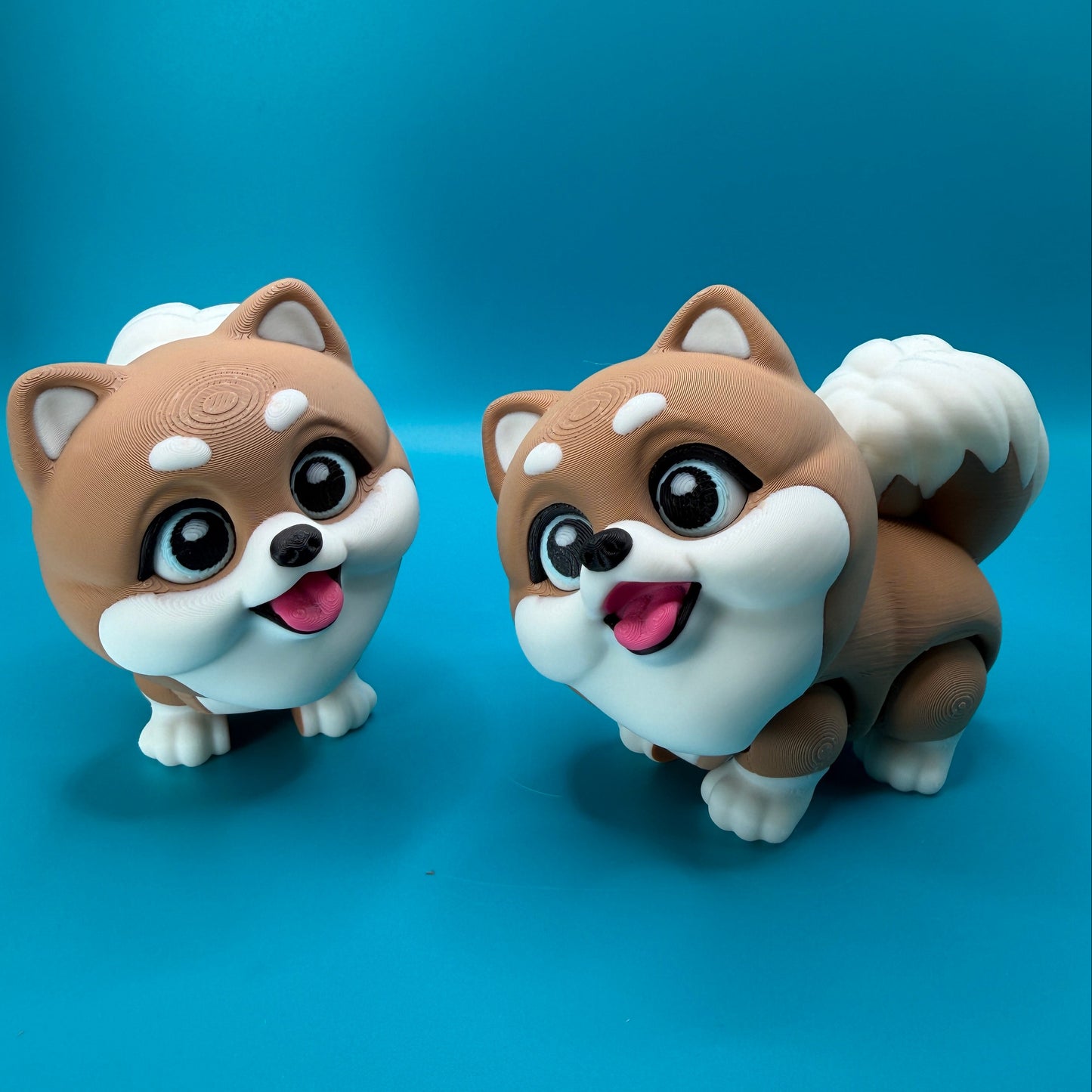 Cute Pomeranian Fidget Dog