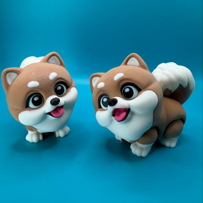 Cute Pomeranian Fidget Dog