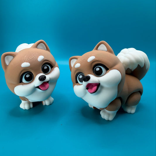 Cute Pomeranian Fidget Dog
