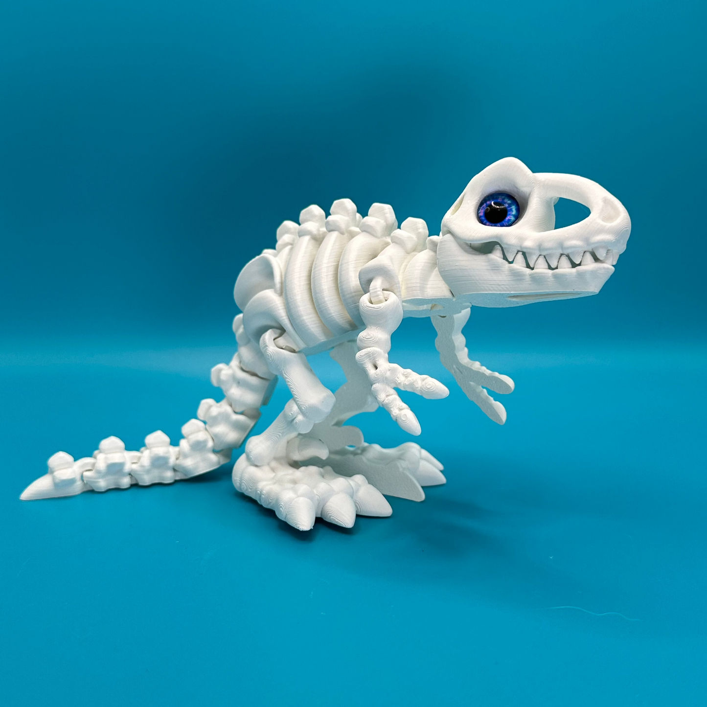3D Printed Flexi Skeleton T-Rex