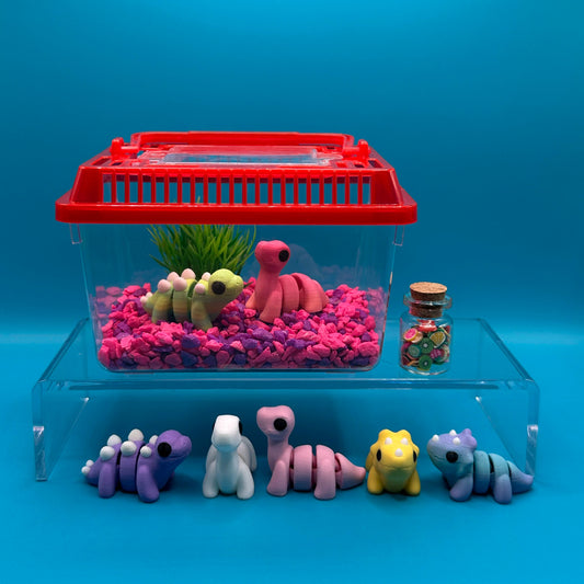 Animal Terrarium or Aquarium Kit