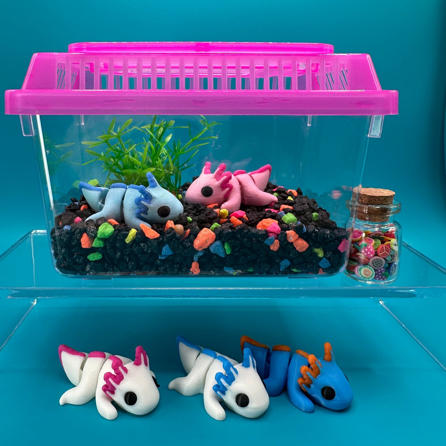 Colorful fish-shaped toys inside a clear container with a blue background