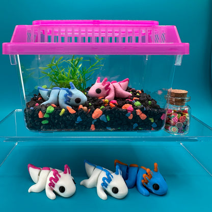 Colorful fish-shaped toys inside a clear container with a blue background