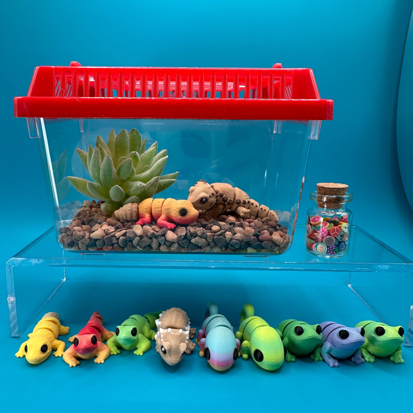 Animal Terrarium or Aquarium Kit