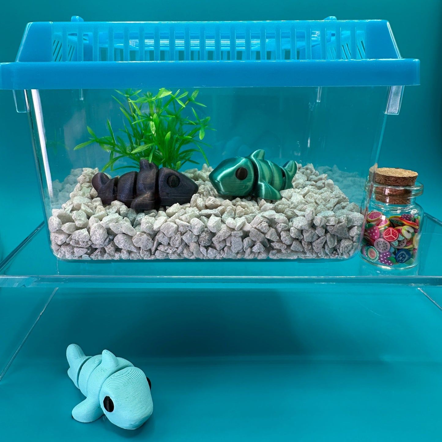 Animal Terrarium or Aquarium Kit