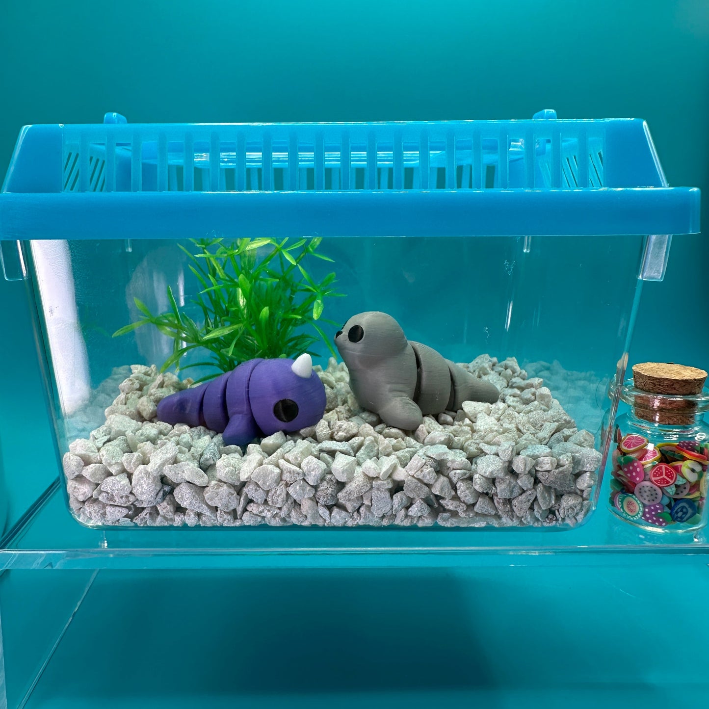 Animal Terrarium or Aquarium Kit