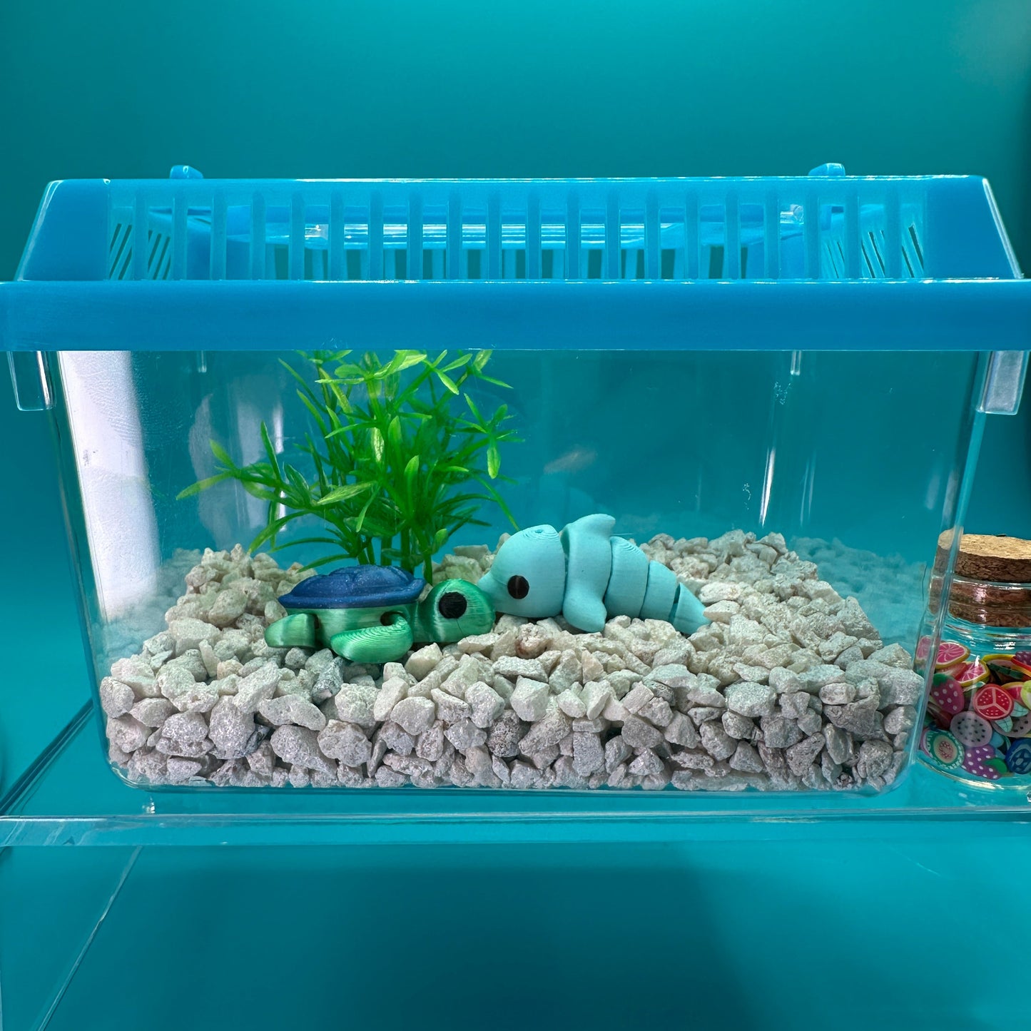 Animal Terrarium or Aquarium Kit