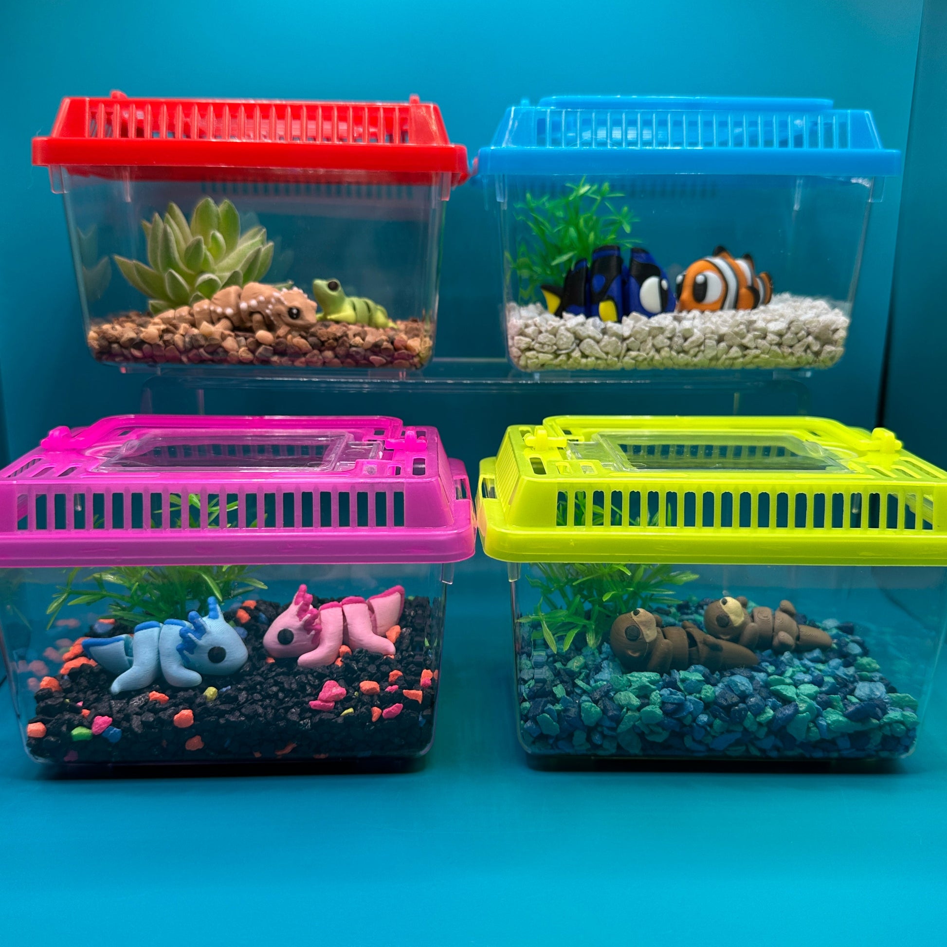 Small aquariums with different colored lids on a blue background